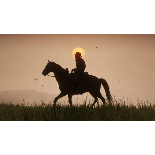 Игра PS4 Red Dead Redemption 2
