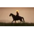 Игра PS4 Red Dead Redemption 2