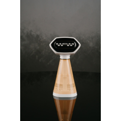 Отпариватель ручной Jacoo JST-1160G персиковый