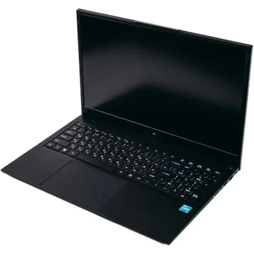Ноутбук 17.3&quot; ACD 17S G2 i7-1355U 8Gb/256Gb/IrisXeGr/noOS (AH17S3386WB)