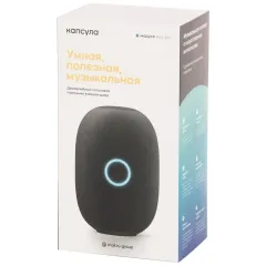 Умная колонка VK капсула с Марусей черный (MRC01BL)