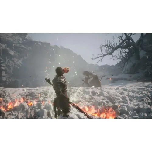 Игра PS5 Black Myth: Wukong (Русские субтитры)