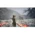 Игра PS5 Black Myth: Wukong (Русские субтитры)
