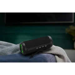 Акустика портативная TFN-BS07-02BK (*9)