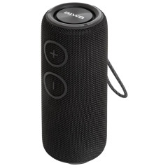 Акустика портативная AIWA PAS-H200 black