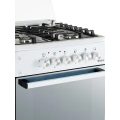 Газоэлектроплита  IDEAL L155 ГК чуг.белый