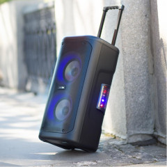 Акустика портативная SMARTBUY SBS-5350 MY DISCO