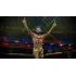 Игра PS4 EA Sports UFC 4