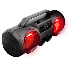 Акустика портативная URAL Молния 280 черный (*5)