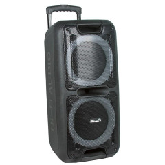 Акустика портативная ELTRONIC 20-14 DANCE BOX (*10)