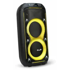 Акустика портативная ELTRONIC 30-38 CRAZY BOX (*10)