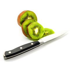 Нож кухонный TALLER, для чистки (22025)