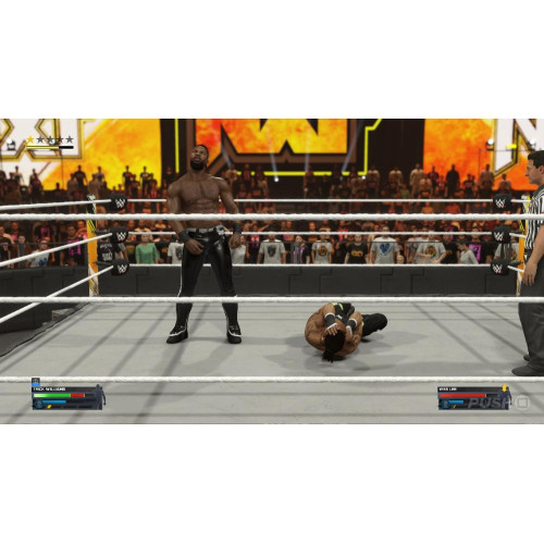 Игра PS4 WWE 2K24 (Английская версия)
