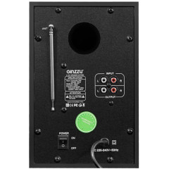 Акустика GINZZU GM-406