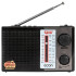 Радиоприемник ECON ERP-2400UR