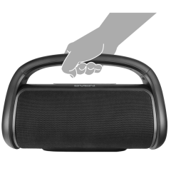 Акустика портативная SVEN PS-350