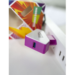 СЗУ More choice 2USB 1.5A белый-фиолетовый + кабель microUSB