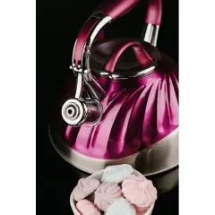 Чайник со свистком ASTIX SWK-520