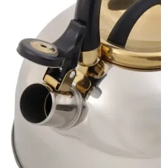 Чайник со свистком Daniks Мадрид Голд, M-001PM, нерж., индукция, 2,7 л. (378480)