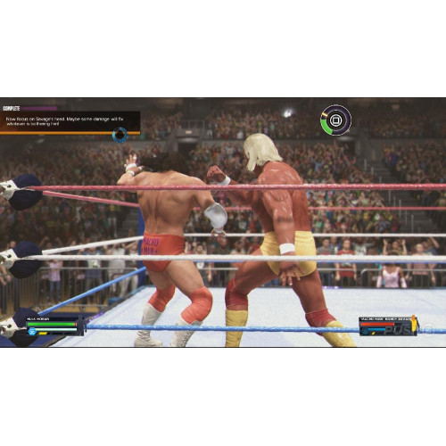 Игра PS4 WWE 2K24 (Английская версия)
