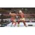 Игра PS4 WWE 2K24 (Английская версия)