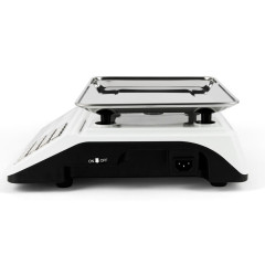 Весы торговые ATLANTA ATH-6117