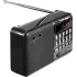 Радиоприемник PERFEO PF-A4870 PALM черный