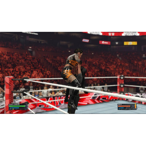 Игра PS4 WWE 2K24 (Английская версия)