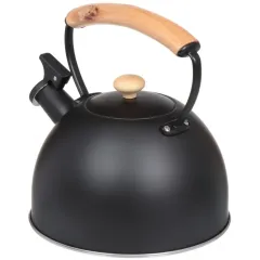 Чайник со свистком Daniks MSY-078B, индукция, нерж., черный, дер.ручка, 2,5 л.(347884)