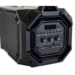 Акустика портативная URAL Молния 600  черный (*9)