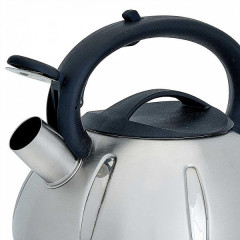Чайник со свистком WEBBER BE-0569/1, 3 л.