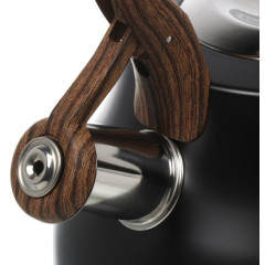 Чайник со свистком Daniks GS-04052B-1, индукция, черный антрацит, 2,8 л.(480200)