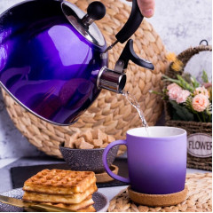 Чайник со свистком Daniks MSY-021P, индукция, фиолетовый, 2,5 л.