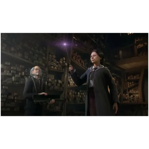 Игра PS4 Hogwarts Legacy (Русские субтитры)