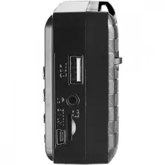 Радиоприемник PERFEO PF-A4870 PALM черный