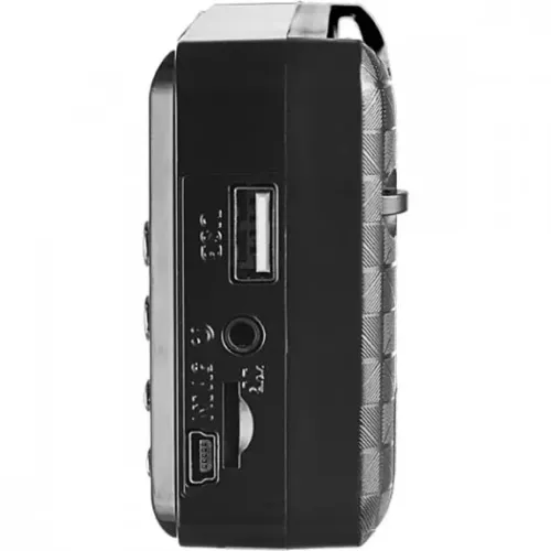 Радиоприемник PERFEO PF-A4870 PALM черный