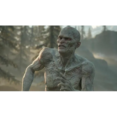 Игра PS4 Жизнь после (Days Gone)(Русская версия)