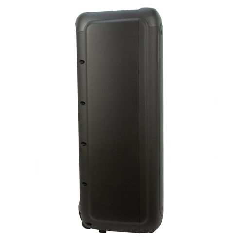 Акустика портативная ELTRONIC 20-03 WAVE 800