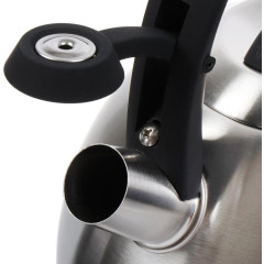 Чайник со свистком Daniks M-085, индукция, нерж., 2,7 л. (397662)