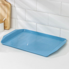 Поднос пластик «Дональд», прямоугольный, 44х32 см (БП227) (1306750)