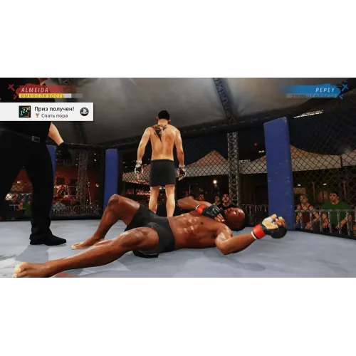 Игра PS4 EA Sports UFC 4