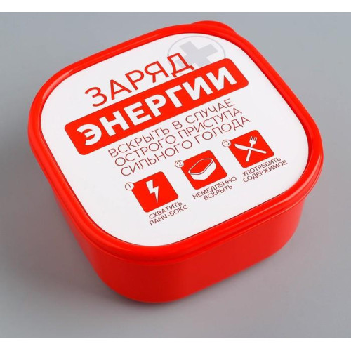 Ланч-бокс FoodVibes «Заряд энергии», 700 мл (4569089)