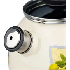 Чайник со свистком APPETITE Citrus, эмаль, индукция, 3 л. (4с209я)