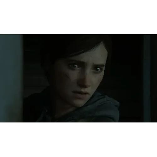 Игра PS4 Одни из нас: Часть 2 (The Last of Us: Part 2)(Русская версия)