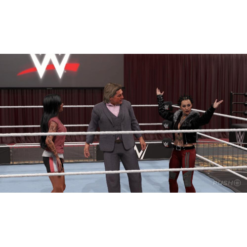 Игра PS4 WWE 2K24 (Английская версия)