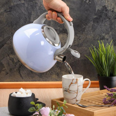 Чайник со свистком Daniks M-083B, голубой, 2,7 л.