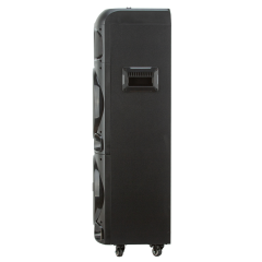 Акустика портативная ELTRONIC 20-72 DANCE BOX 1300