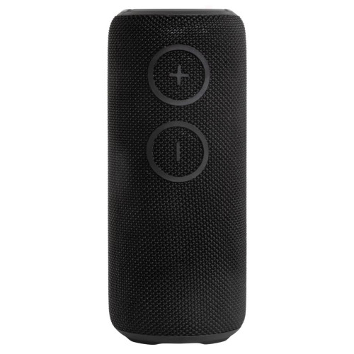 Акустика портативная AIWA PAS-H200 black