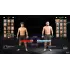Игра PS4 EA Sports UFC 4