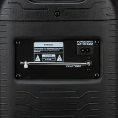 Акустика портативная ELTRONIC 30-38 CRAZY BOX 